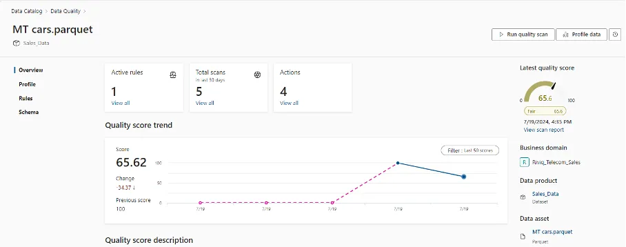 Microsoft Purview Data quality